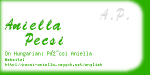 aniella pecsi business card